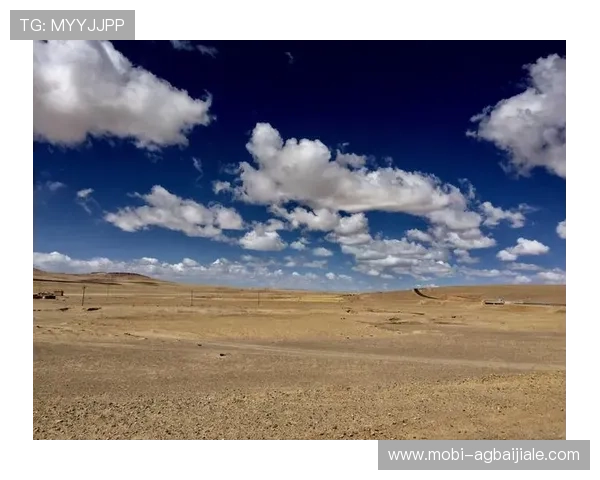 开云真人怎么玩才能体验最佳游戏乐趣，专家为你解读玩法细节